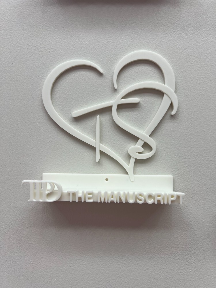 T Swift Inspired CD Wall Mount - "The Manuscript" double disk TTPD