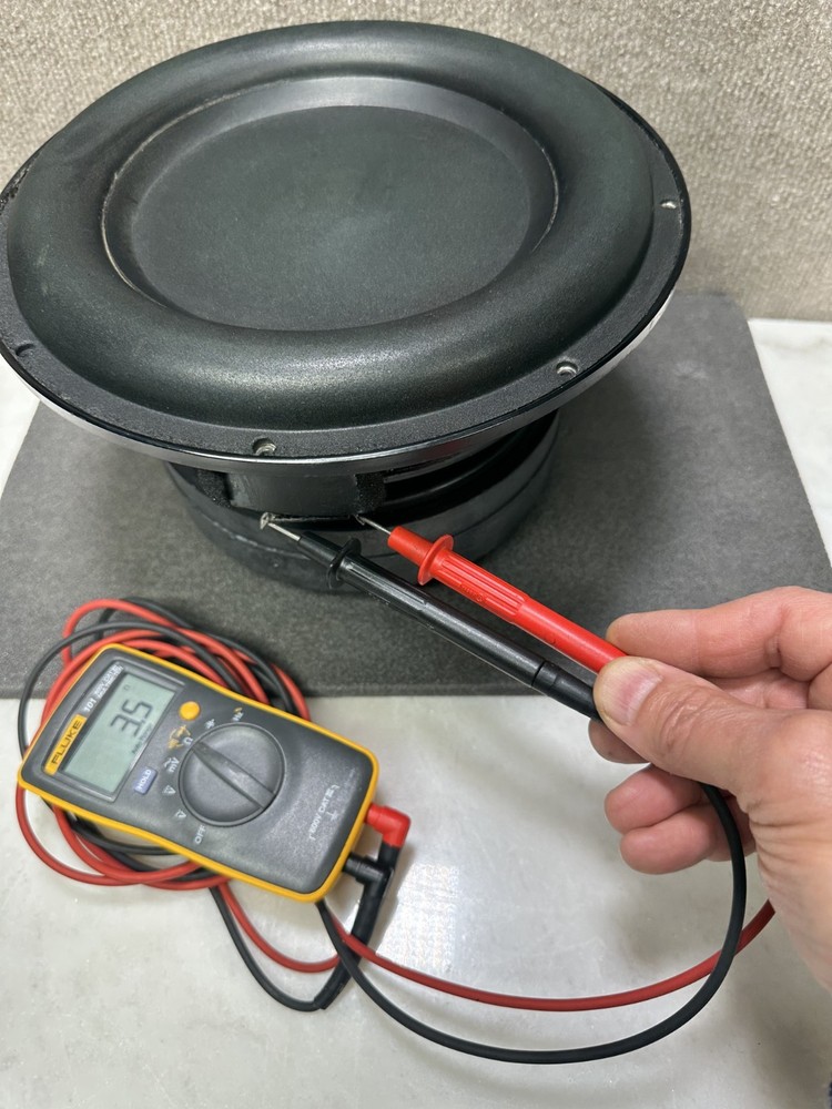 Sunfire 10" Subwoofer driver