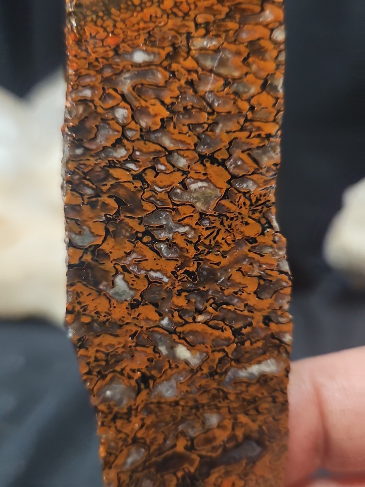 Gem Bone W/ Crystallization Slab Specimen (51.9 Grams)