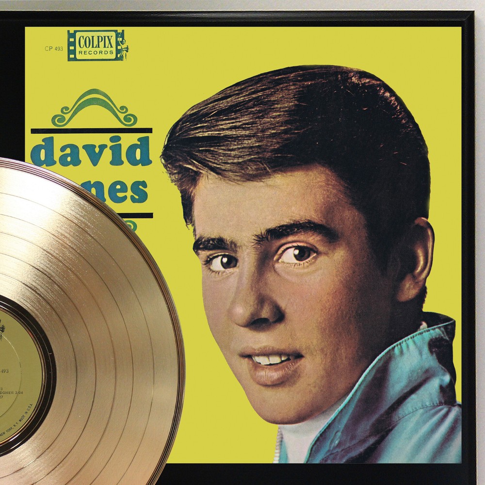 David Jones - Self Title Gold LP Record Plaque Display