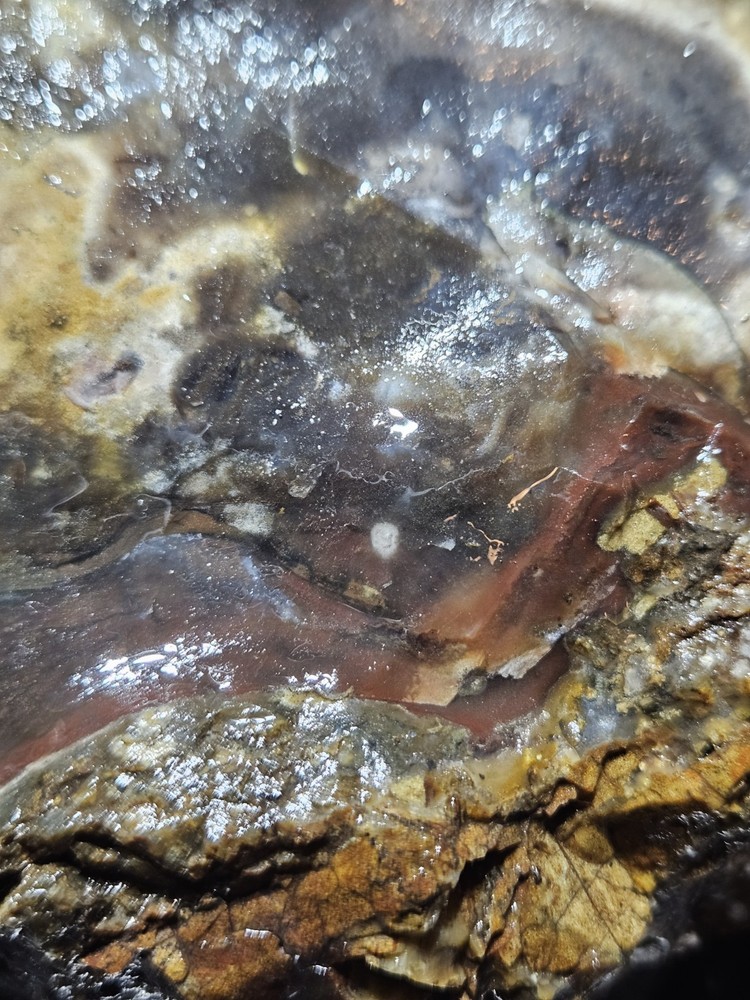 Opalized Agate w/ Cascading Moons Specimen Natural Form (8lbs 1oz)