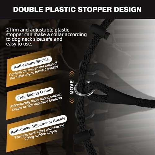 Lynxking Reflective Slip Lead Rope, Training Leash No Pull