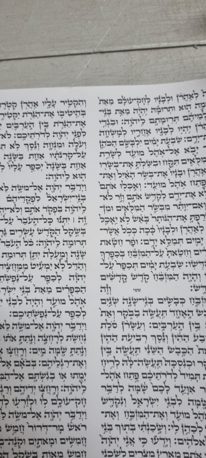 HUGE Judaica Beautiful Sefer Big Torah Scroll Hebrew Jewish Bible 61 CM + (24")