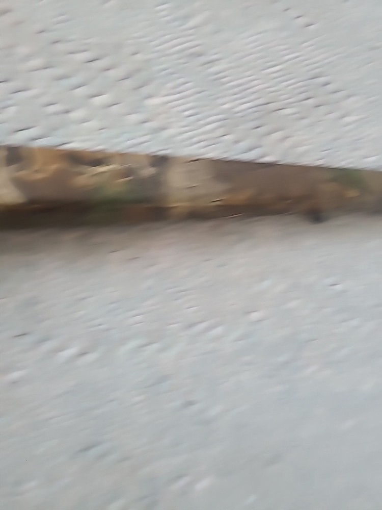 CVA Eclipse Hunter Muzzleloader Rifle stock 50 cal Buttpad Trigger Guard Camo