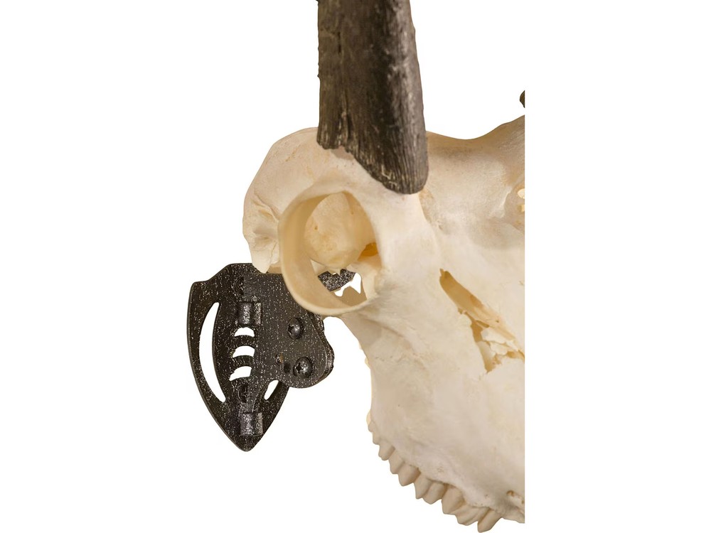 Skull Hooker Mini Hooker European Mount Matte Black