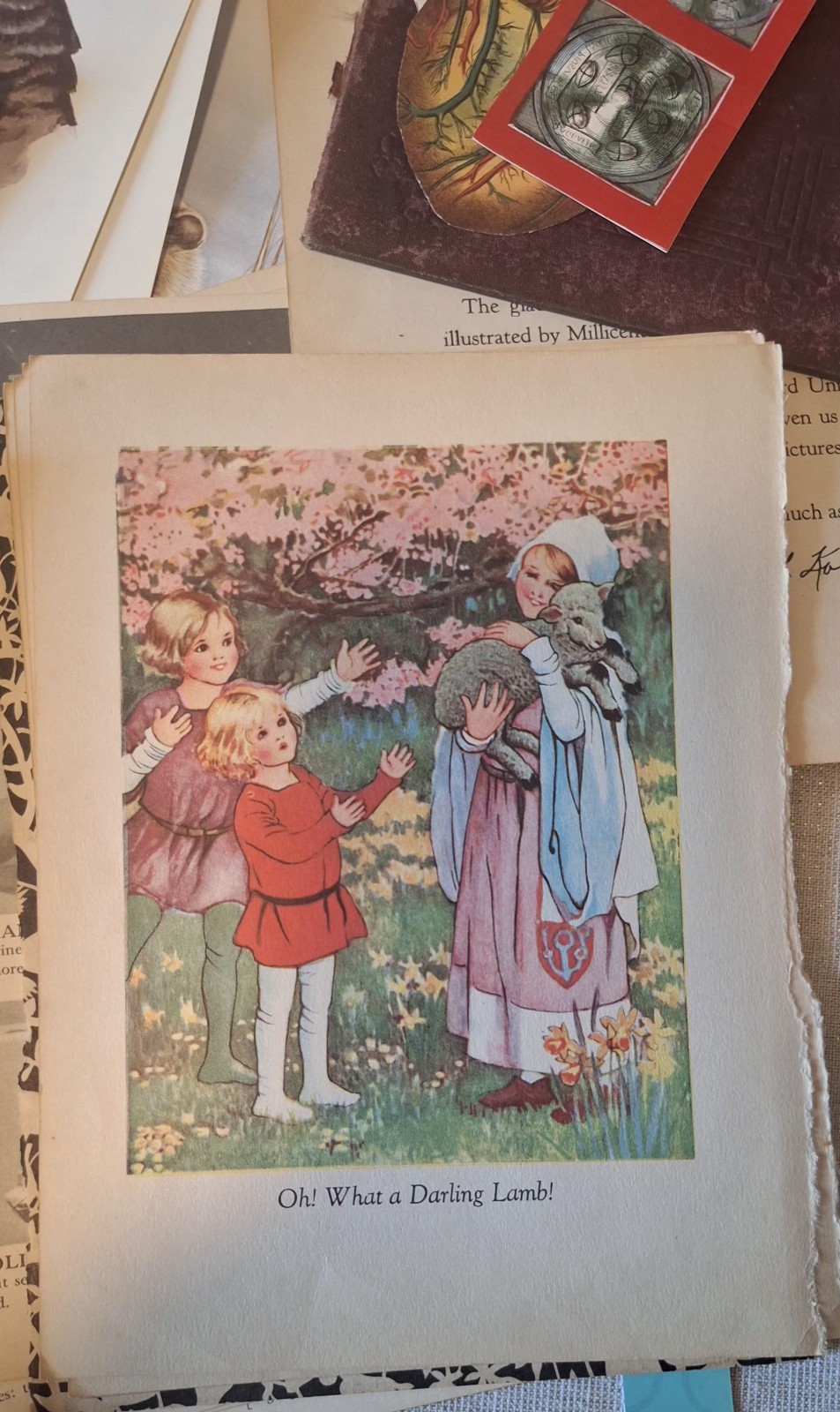 Vintage & Antique Paper Assorted Ephemera for Collage, Decoupage, Crafts 6+ Lbs