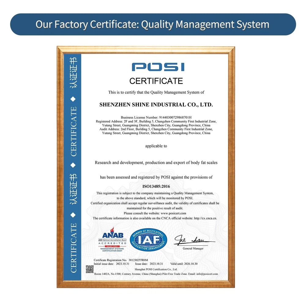 Homebuds Digital Weight Scale