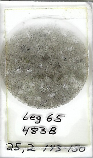 Thin-section Mount from DSDP Hole 483B Petrographic Microscope Slide 483B-25-2