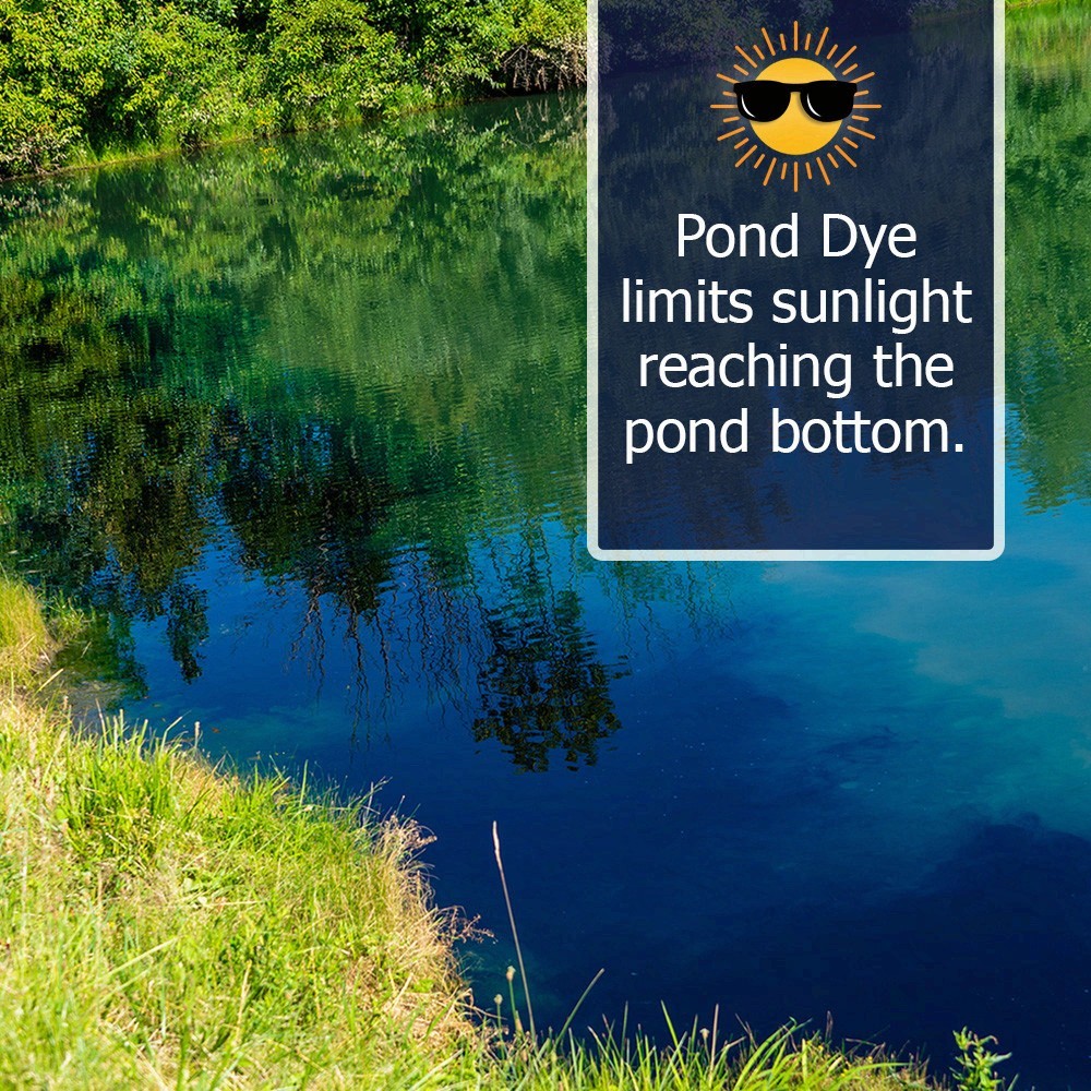 🔥 FREE SHIP Midnight Blue Pond Dye Packets- 6 water soluble packets