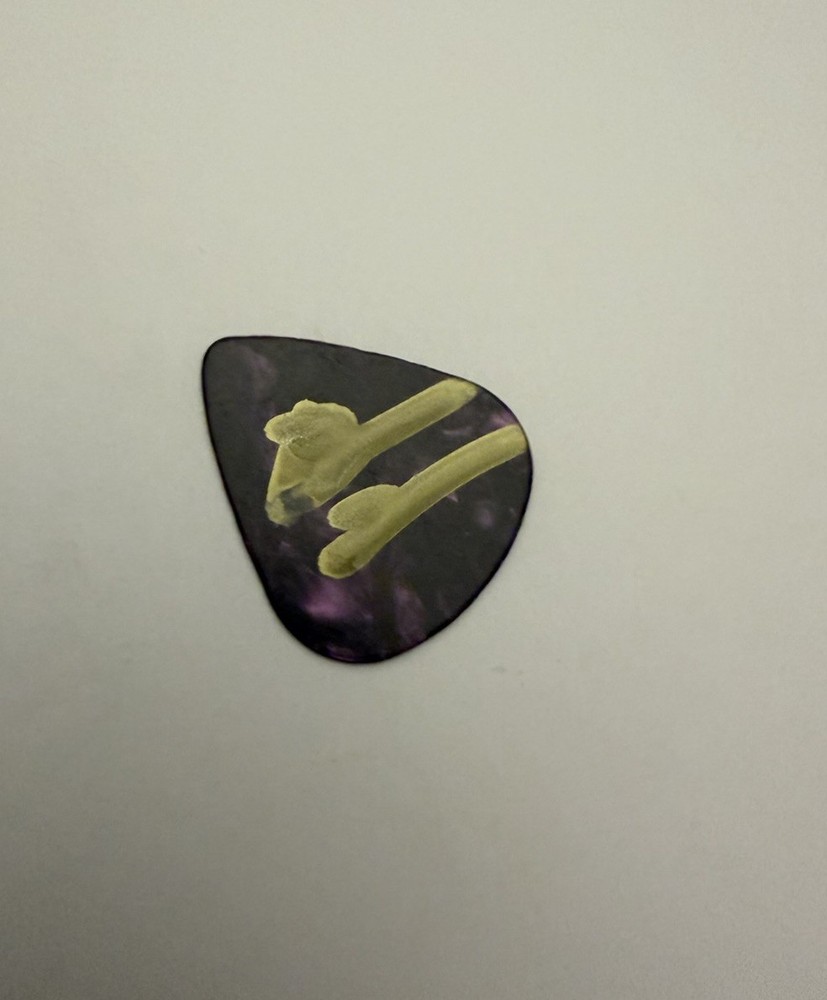 Braeden Lemasters Wallows Signed Autographed Guitar Pick