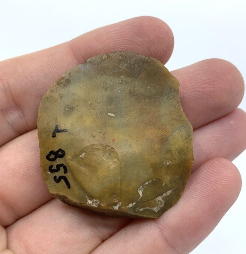 Authentic Scraper Flake Circular Stone Tool Neolithic European Origin