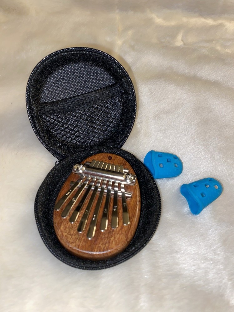 Thumb Piano and Case