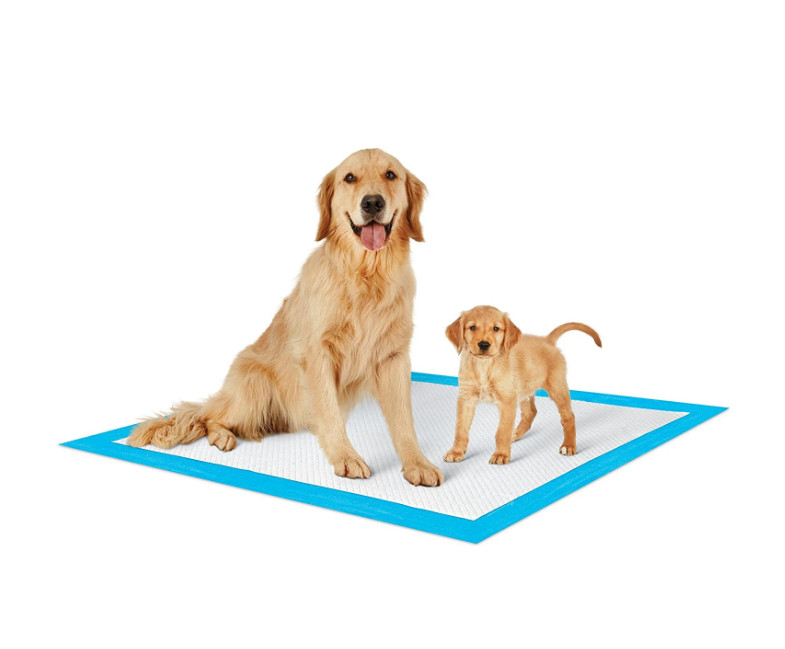 Economy Value Puppy Training & Potty Pads, Unscented (23x36 inch) 300 Count
