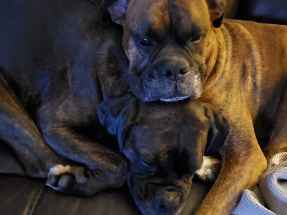 YY-91 Mini Banknote Counter