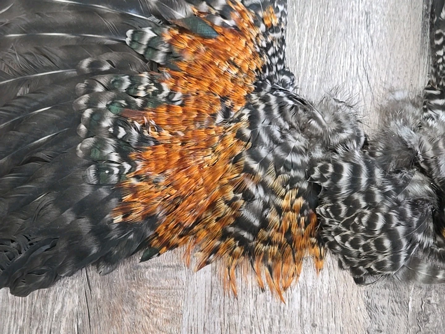 16" Cree Grizzly Chicken Rooster Wings Craft Bird Fly Tying Feathers Taxidermy