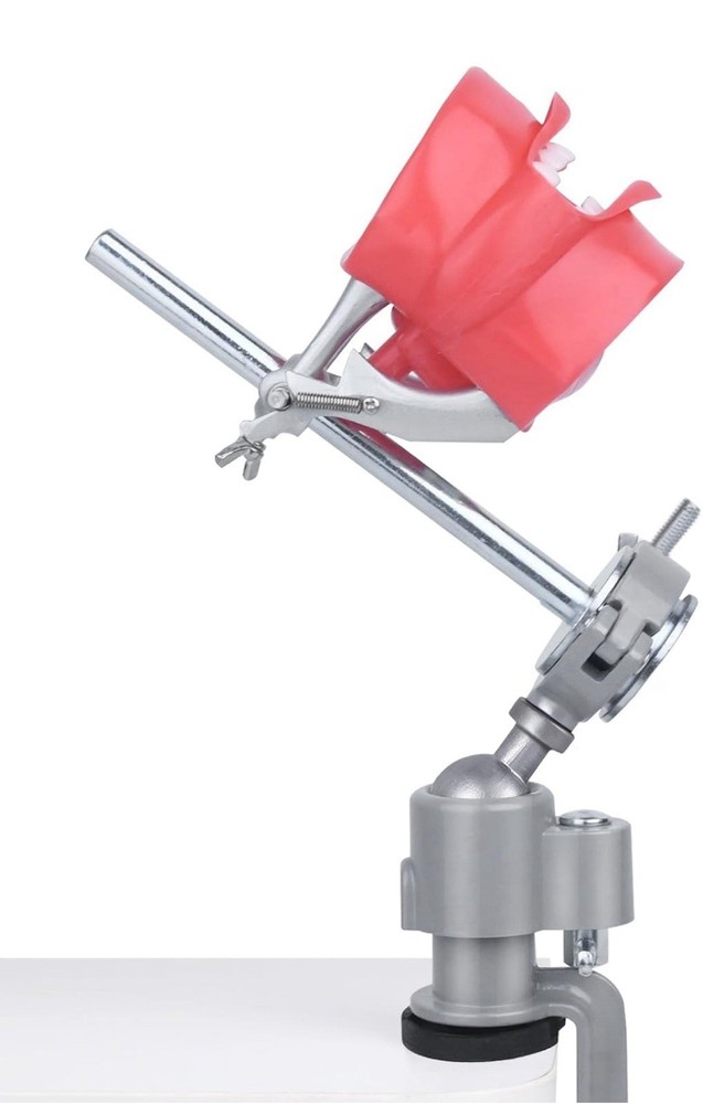 Dental Typodont Training Model Mount Kit