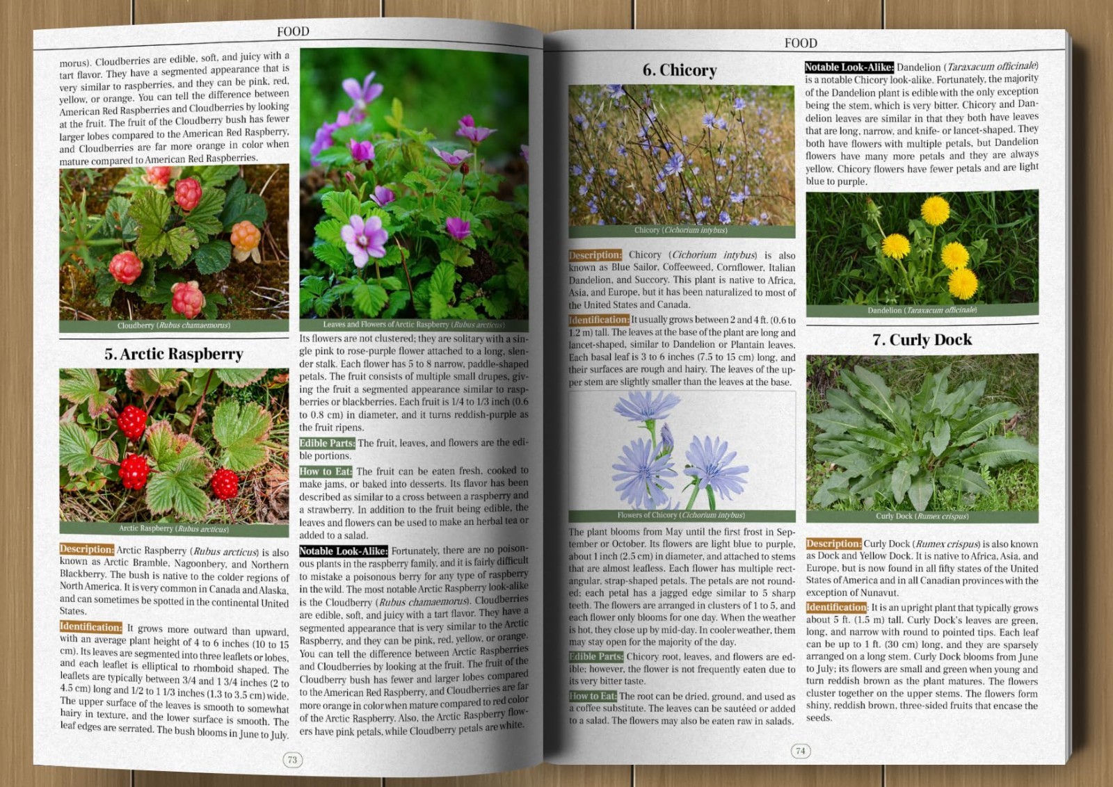 Wilderness Long-Term Survival Guide: Forgotten Skills to Make the Wild Your Home