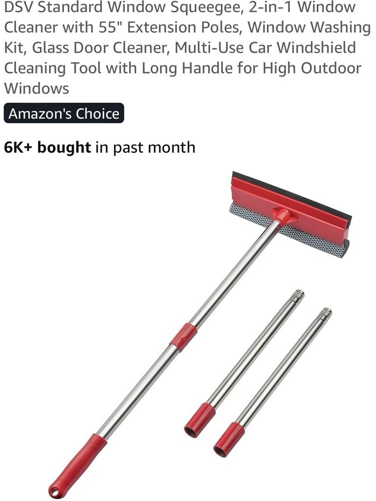 DSV Standard Window Squeegee
