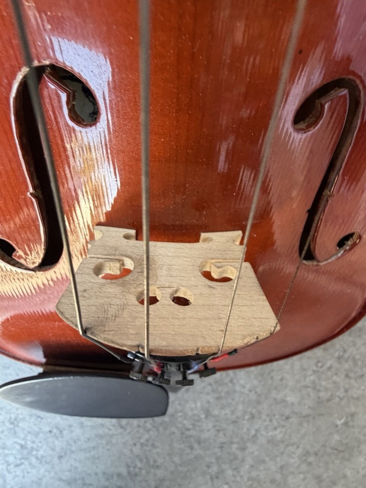 Rosetti Model 4/4 Violin w Carry Case