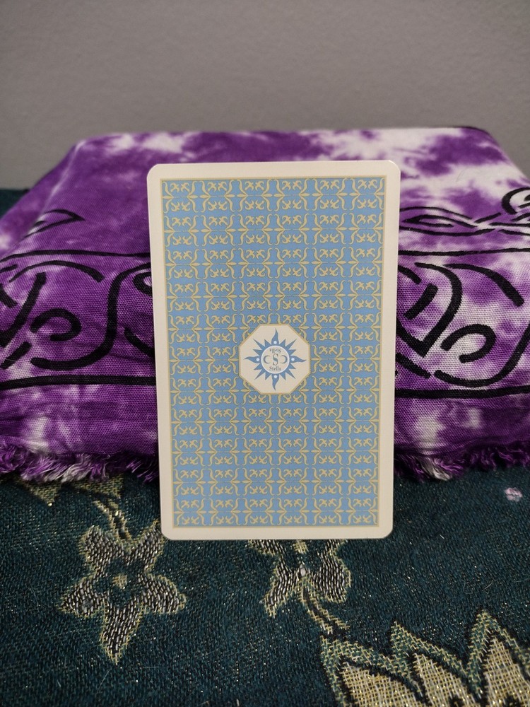 Stella's Tarot 2008 AGM