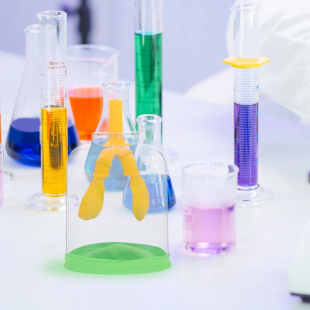 Lung Demonstration Model Function Teaching Aid
