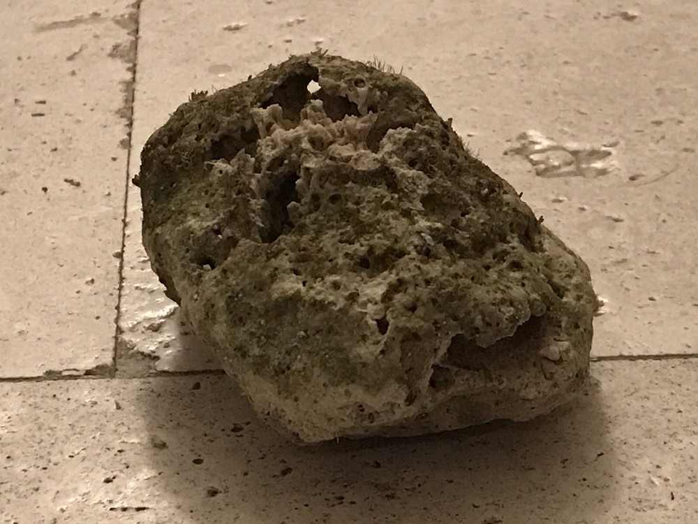 Medium Pumice Stone Volcanic Rock