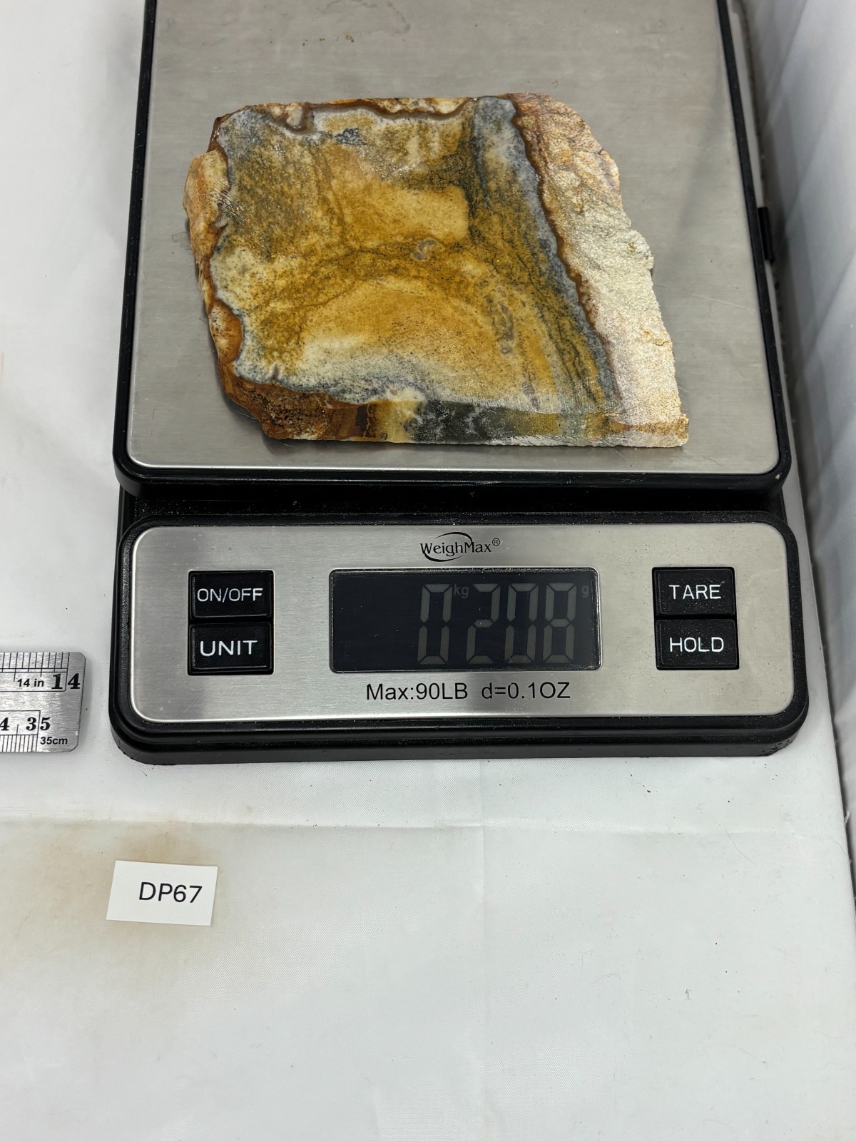 Disaster Peak Picture Jasper Slab Cabbing Lapidary Collecting Combo Ship Avail