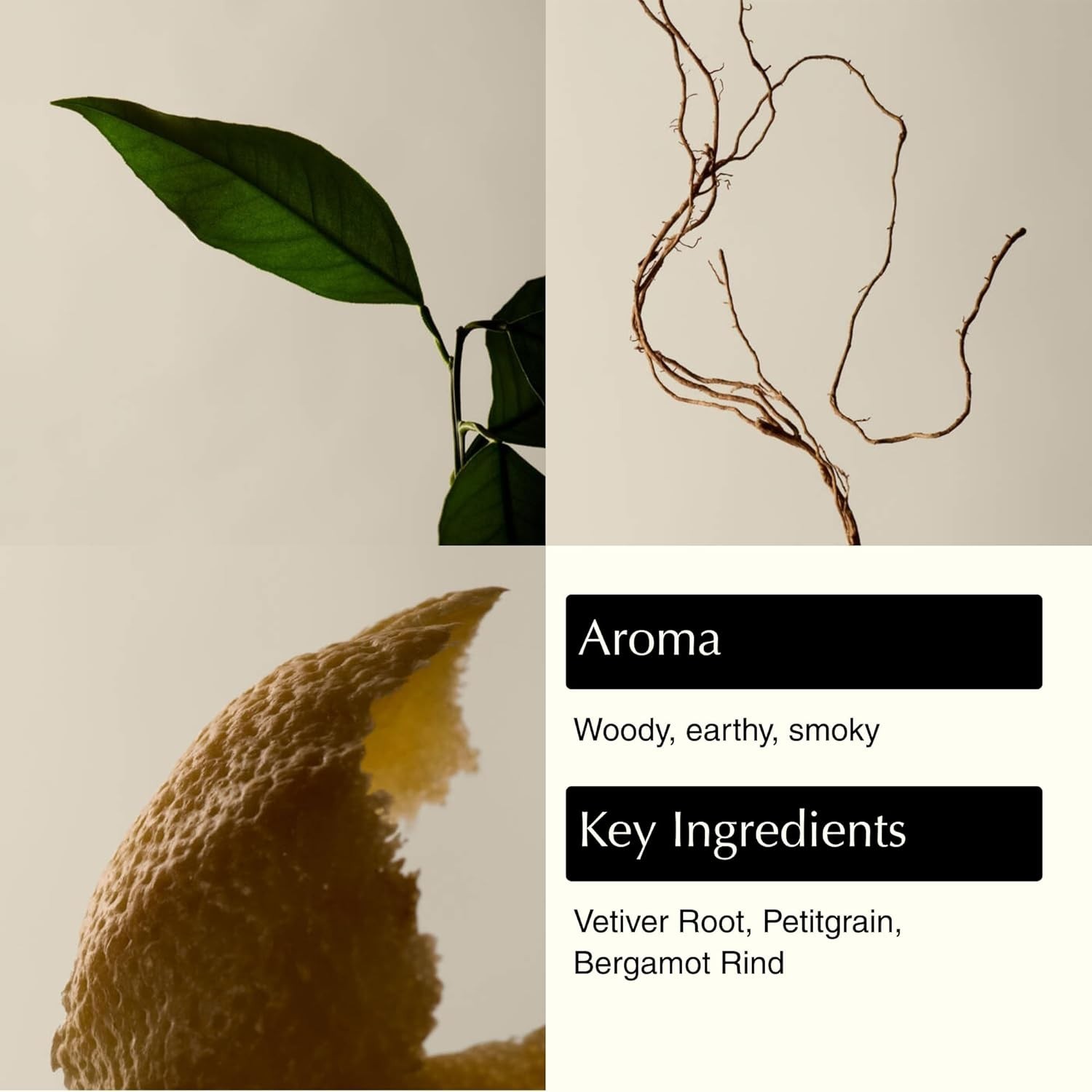 Aesop Reverence Exfoliating Hand Wash 500mL 16.9oz Bergamot Vetiver NEW