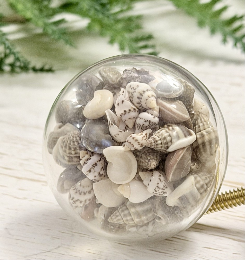 1 Seashell Filled Glass Drawer Pulls Knobs Cabinet  Nautical Beach Decor Hardwar
