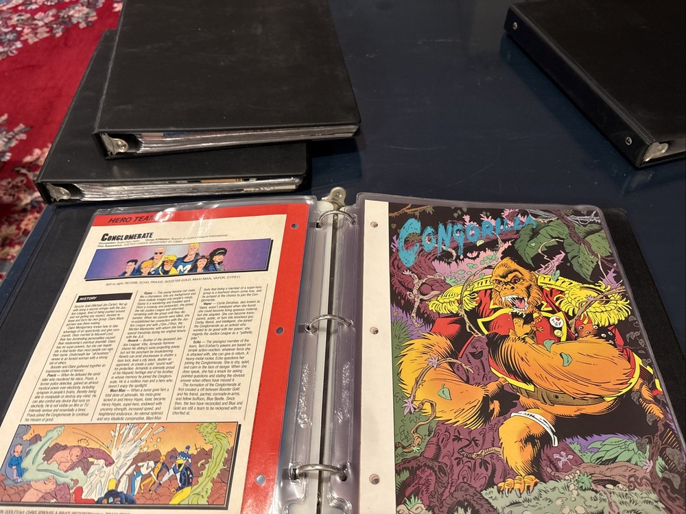 Comic Book Bio Binder