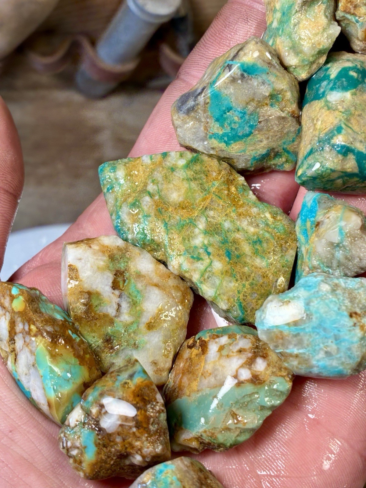 1 Lb of Skinny Turquoise Mountain Nugs! Now Available Again! ￼