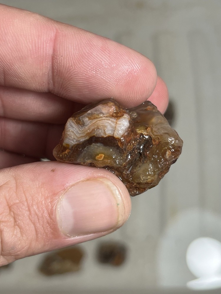 8oz Mexican Fire Agate Rough Lot Mid Grade Every Stone Should Have Fire Half LB