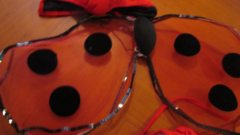 Lady Bug Costume Child Size 6 Months