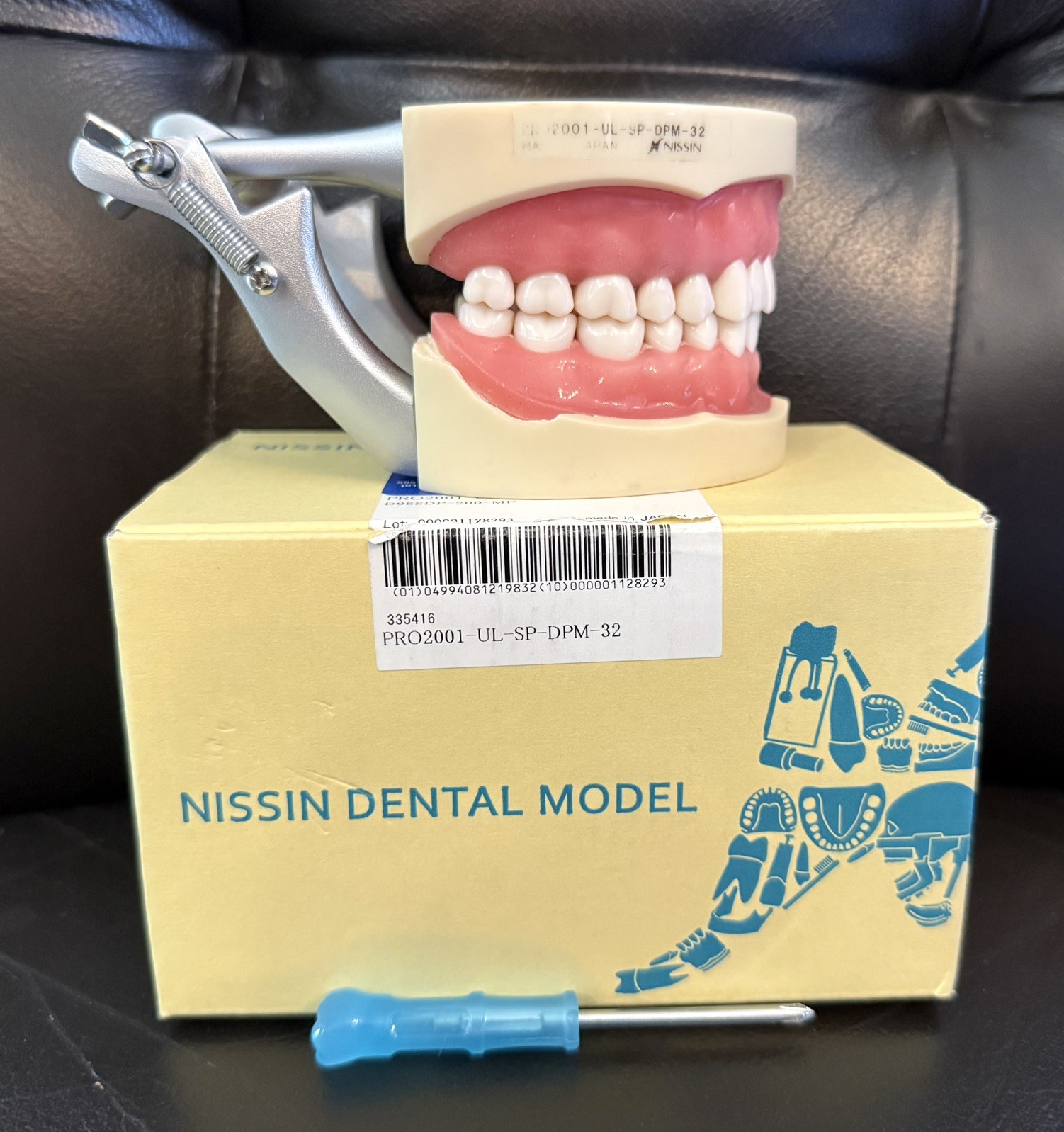 NISSIN PRO2001-UL-UP-DPM-32 Dental Model Kilgore Typodont Teeth