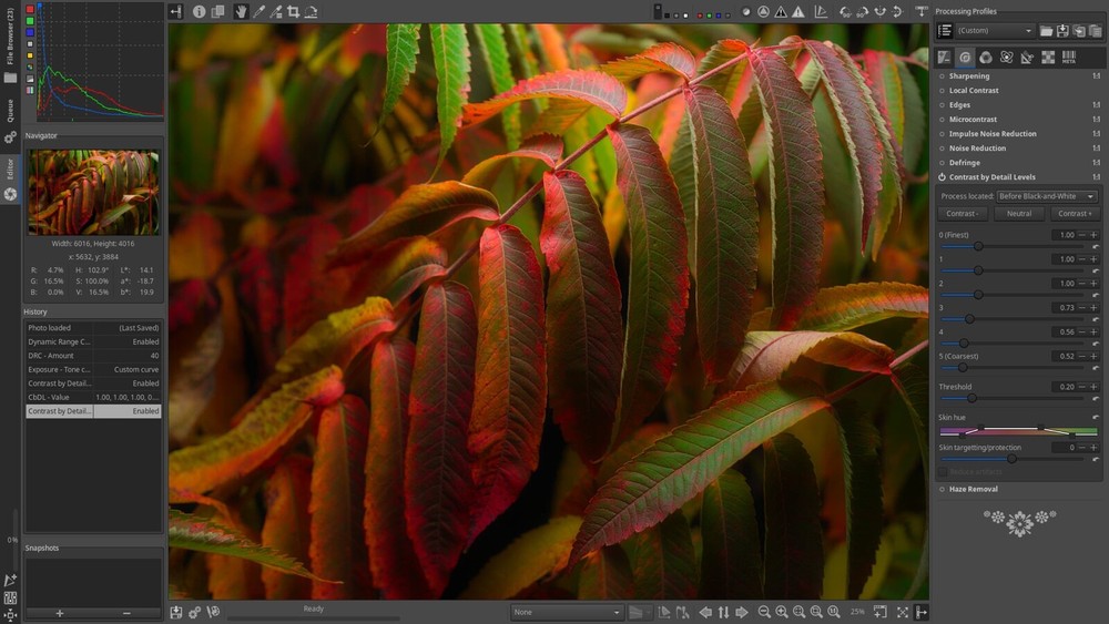 Raw Therapee Photo Editing Software, RAW Image Editor for Windows on CD-ROM