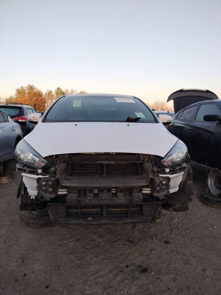 LEFT REAR DOOR WINDOW REGULATOR OEM 2018 FORD FOCUS