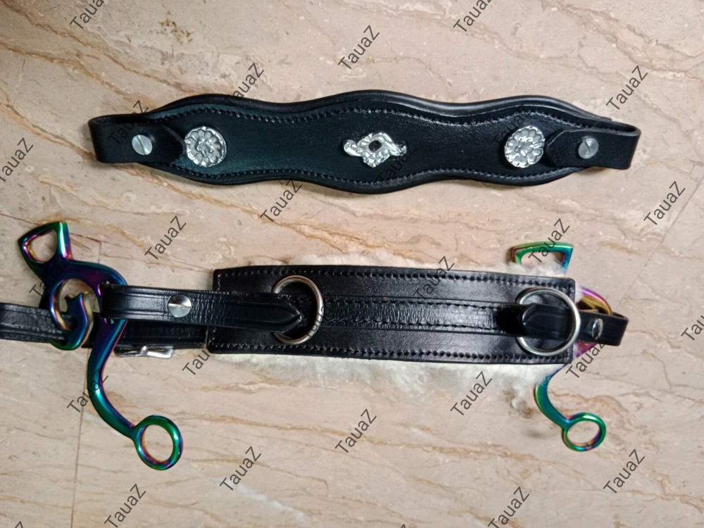 Hackamore with Multi Color shank & two different styles nose bands real leather