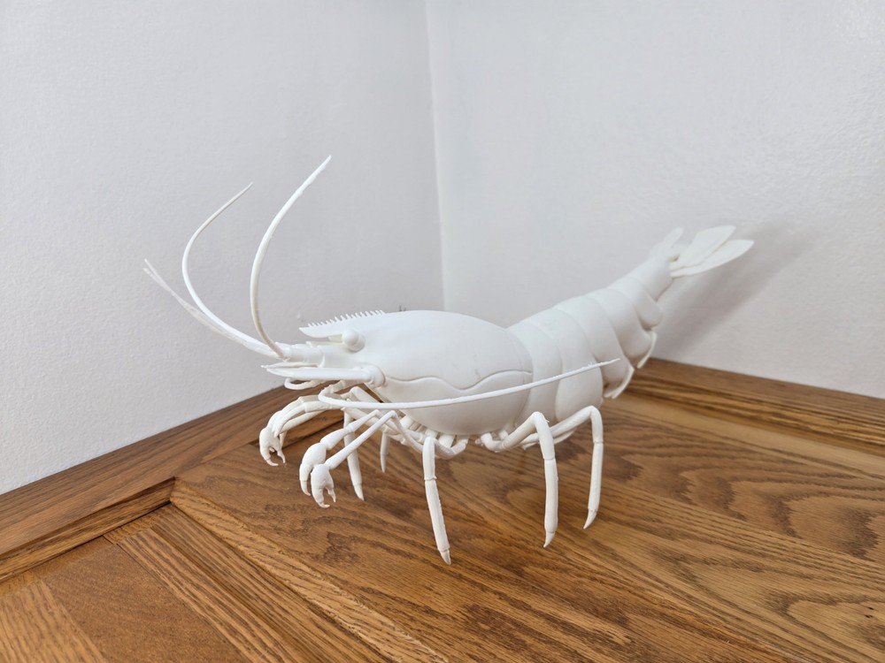 Solid white snowball Neocaridina Shrimp  3d Print READ DESCRIPTION