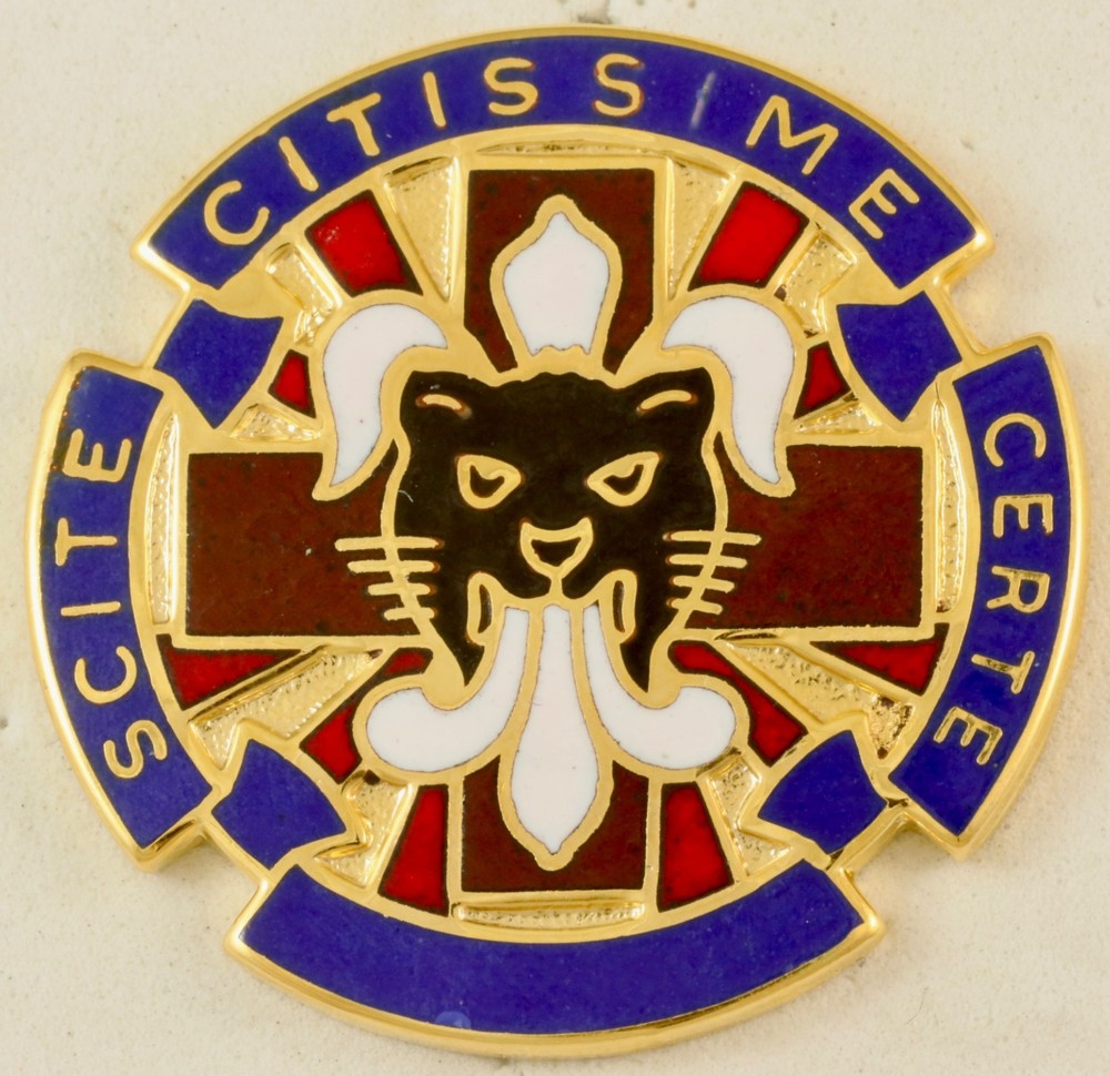 13th Combat Support Hospital Crest DI/DUI CB