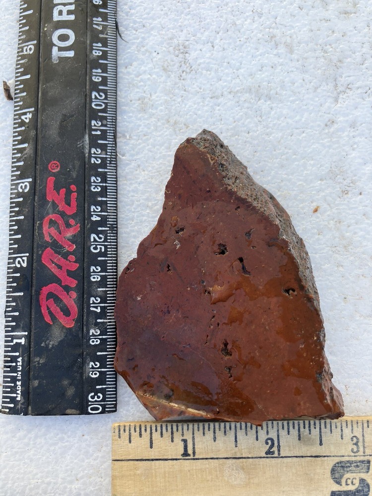 Arizona Petrified Wood