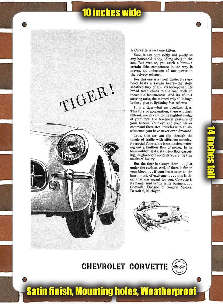 Metal Sign - 1955 Vette _- 10x14 inches