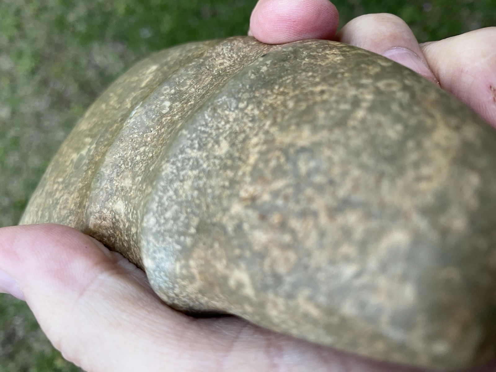 Native American Stone Axe Head