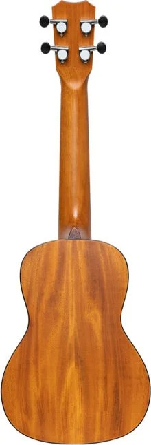 Traditional concert ukulele with solid top