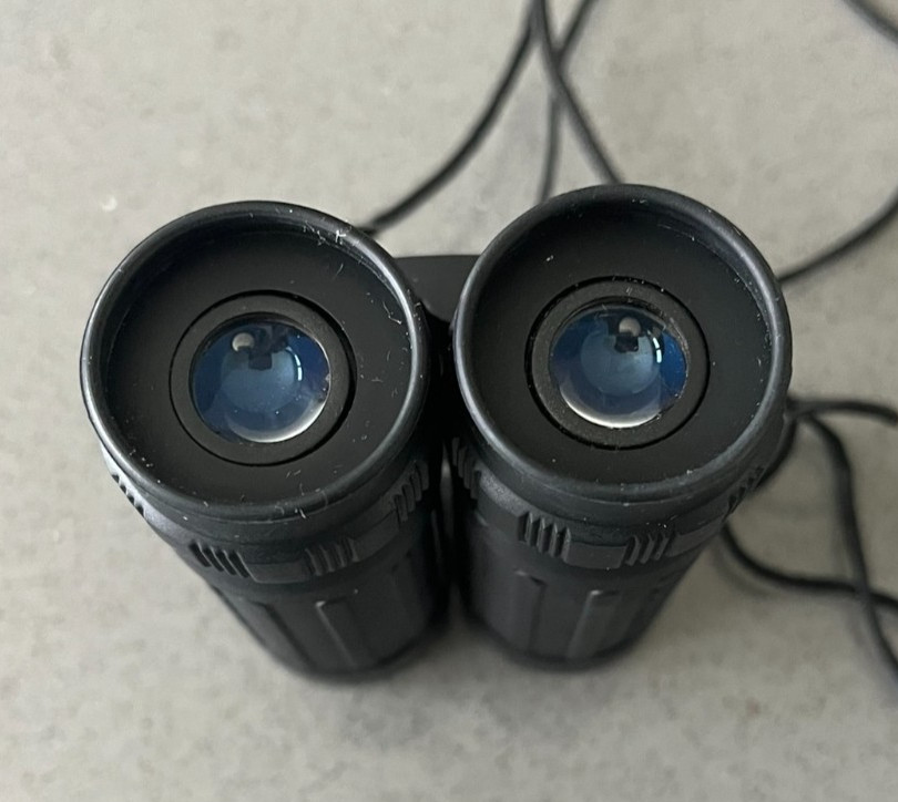 Bushnell Compact Binoculars 8 X 21