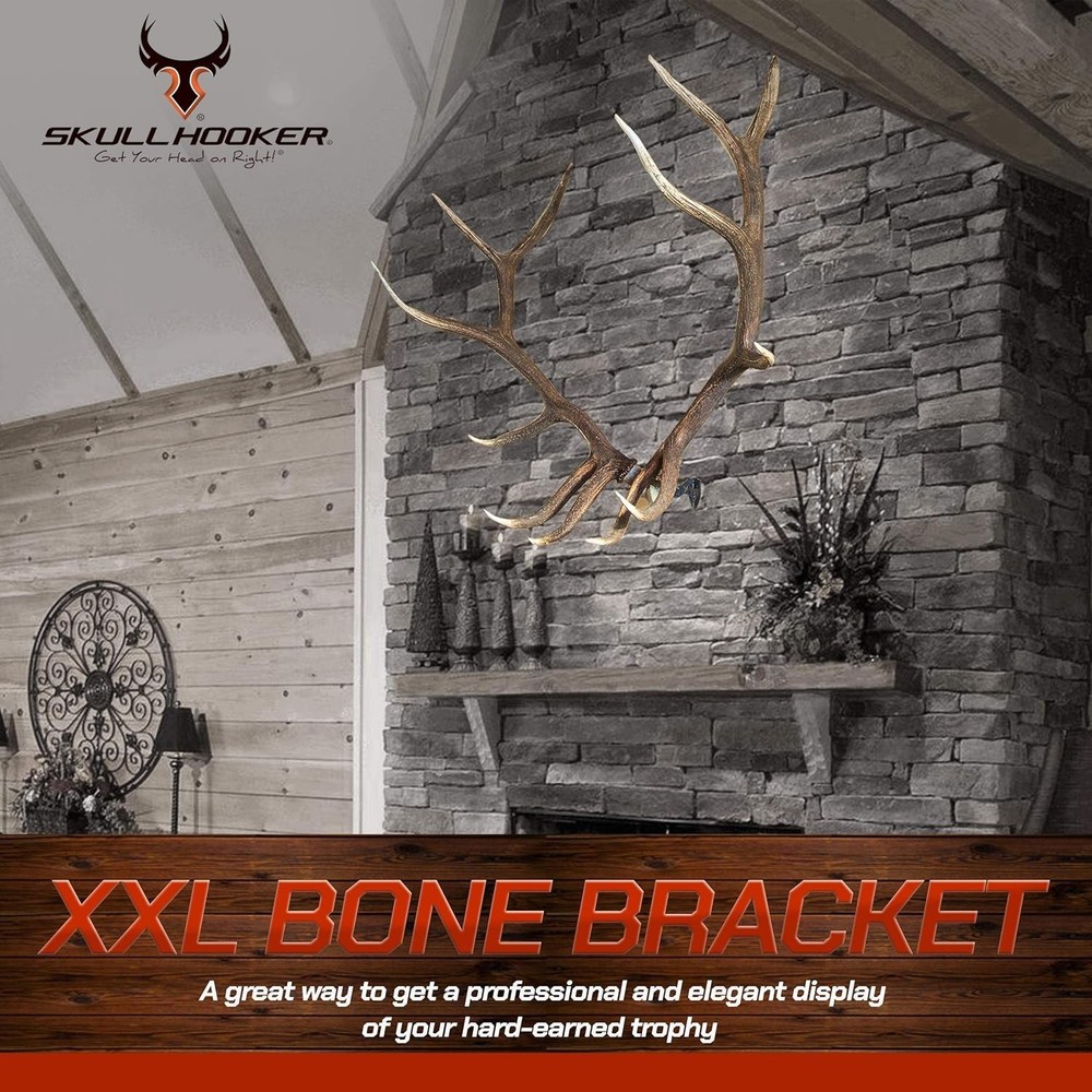 Quick-Install XXL Bone Bracket for Antlers – Professional Trophy Mounting