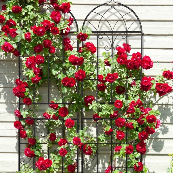 2 Pack 16" x 61" Rustproof Iron Garden Trellis