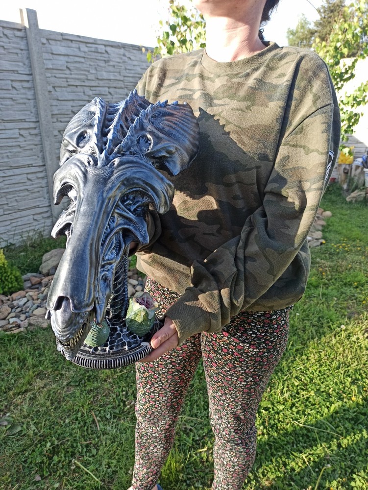 Alien / Xenomorph Queen head trophy / bust AvP, custom made