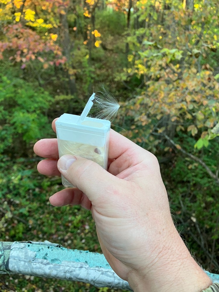 Milkweed Wind Indicator With Refills