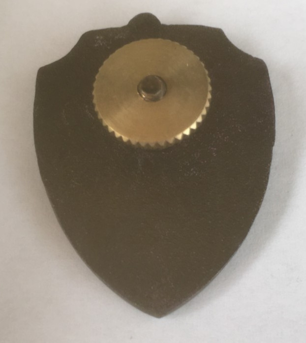 Soviet MVD Internal troops pin badge