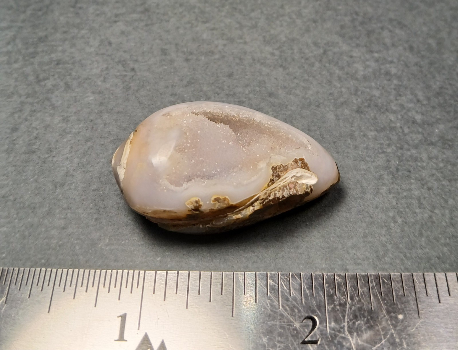 Fossil Shell Druzy - Complete Shell